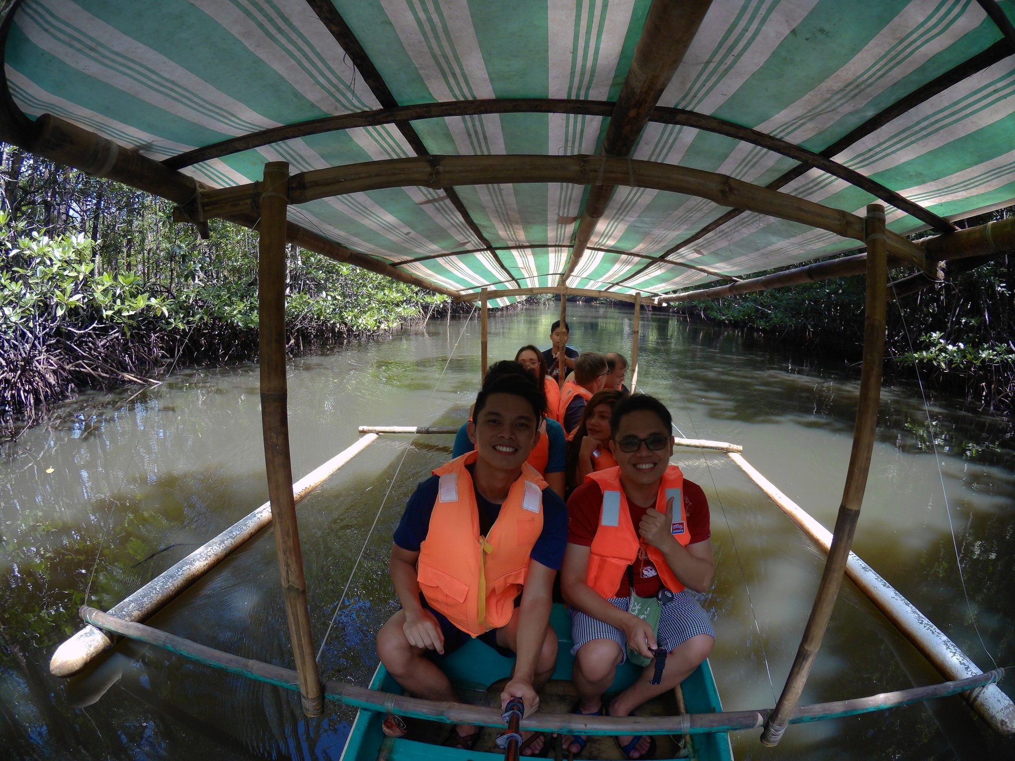 mangrove tour palawan