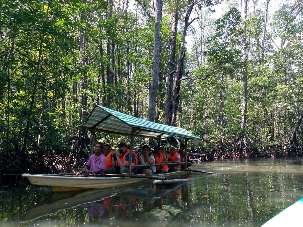paddle boat tour palawan