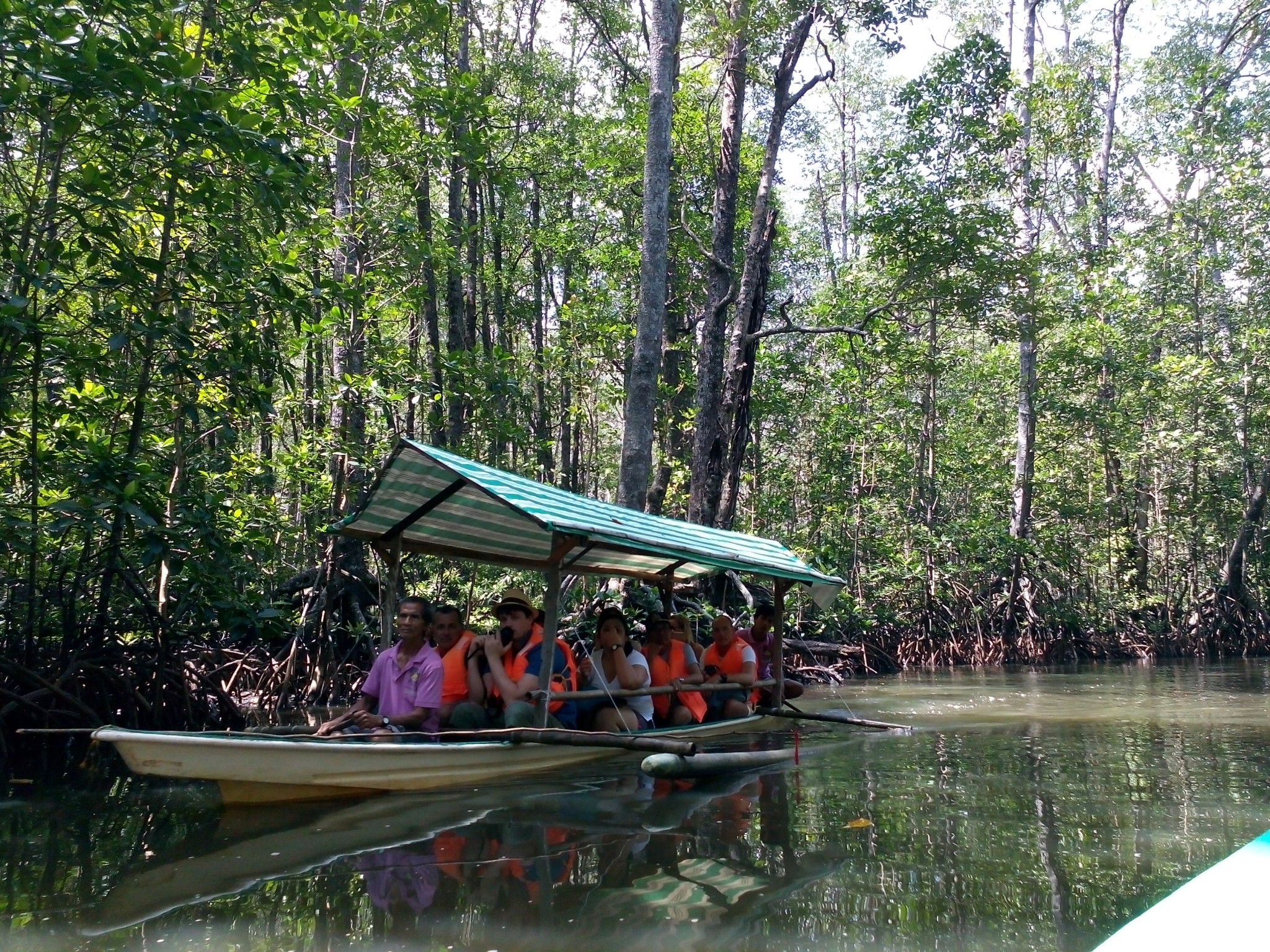 mangrove tour palawan