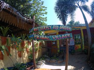 A Brief Tour: Palawan Butterfly Garden and Tribal Village